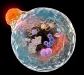 Cleanse Your Body and Mind: The Power of Autophagy and Fasting